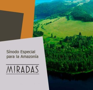 MIRADAS: Sínodo especial para la Amazonia