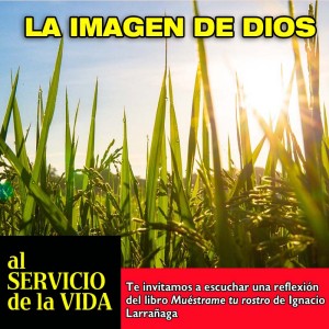 Al Servicio de la Vida: La imagen de Dios