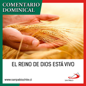 COMENTARIO DOMINICAL: El Reino de Dios está vivo