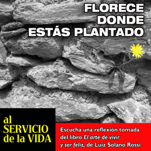 Al Servicio de la Vida: Florece donde estás plantado