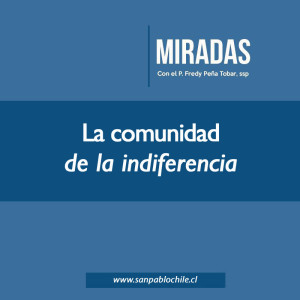 MIRADAS2