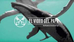 EL VIDEO DEL PAPA: La protección de los océanos