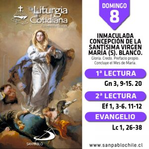 DOMINGO 8: INMACULADA CONCEPCIÓN DE LA SANTÍSIMA VIRGEN MARÍA (S). Blanco.