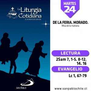 MARTES 24: De la feria. Morado.