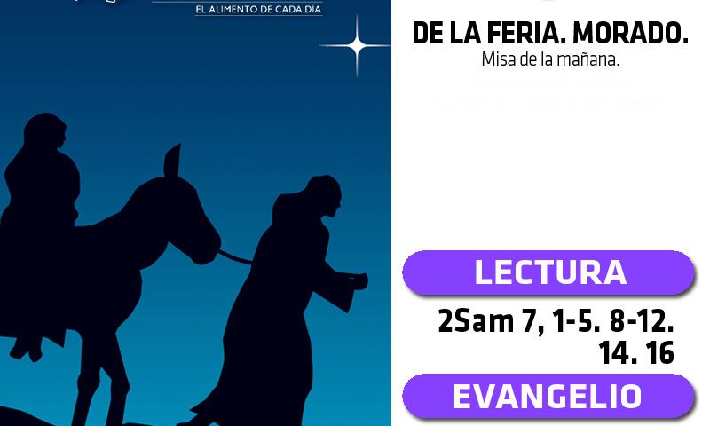 MARTES 24: De la feria. Morado.