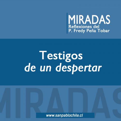 MIRADAS: Testigos de un despertar