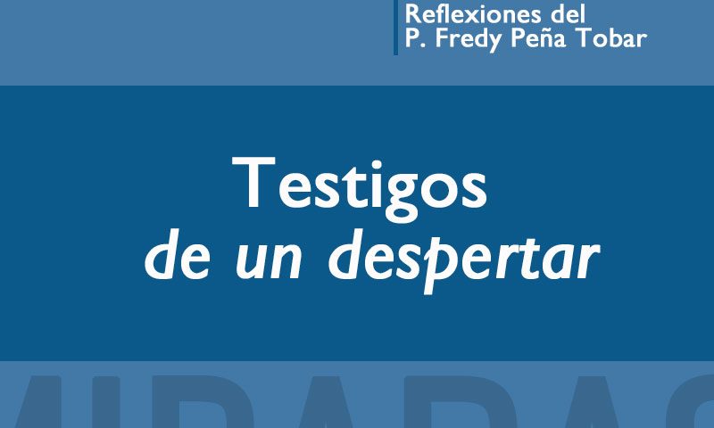 MIRADAS: Testigos de un despertar