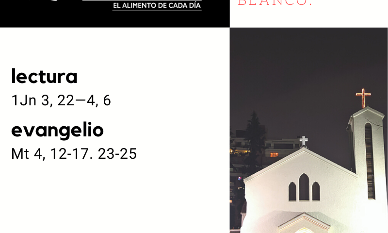 LUNES 6: De la feria. Blanco.