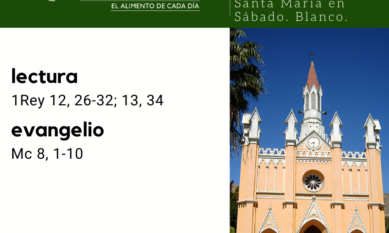 SÁBADO 15: De la feria. Verde. Santa María en Sábado. Blanco.