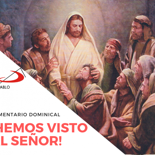 COMENTARIO DOMINICAL: ¡Hemos visto al Señor!