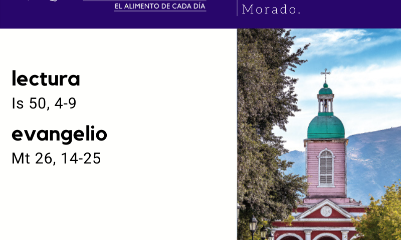 MIÉRCOLES 8: MIÉRCOLES SANTO. Morado.