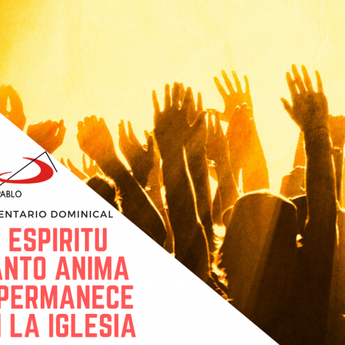 COMENTARIO DOMINICAL: El Espíritu Santo anima y permanece en la Iglesia