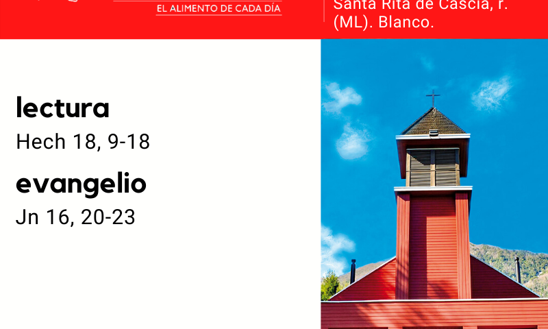 VIERNES 22: De la feria. Blanco. Santa Rita de Cascia, r. (ML). Blanco.