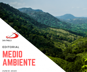 EDITORIAL: Medio Ambiente