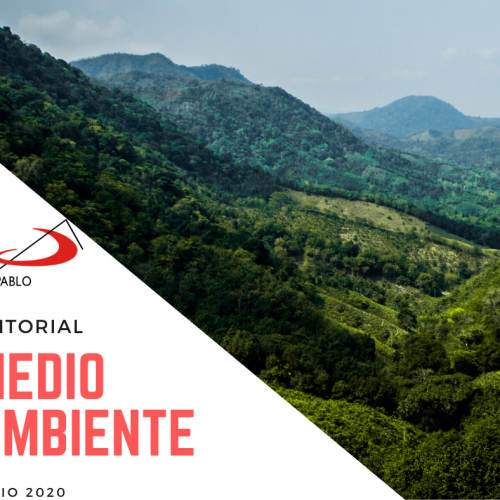 EDITORIAL: Medio Ambiente