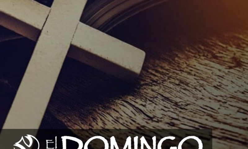 Evangelio domingo 5 de julio de 2020: MT 11, 25-30