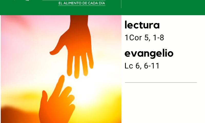 LITURGIA COTIDIANA LUNES 7: De la feria. Verde.