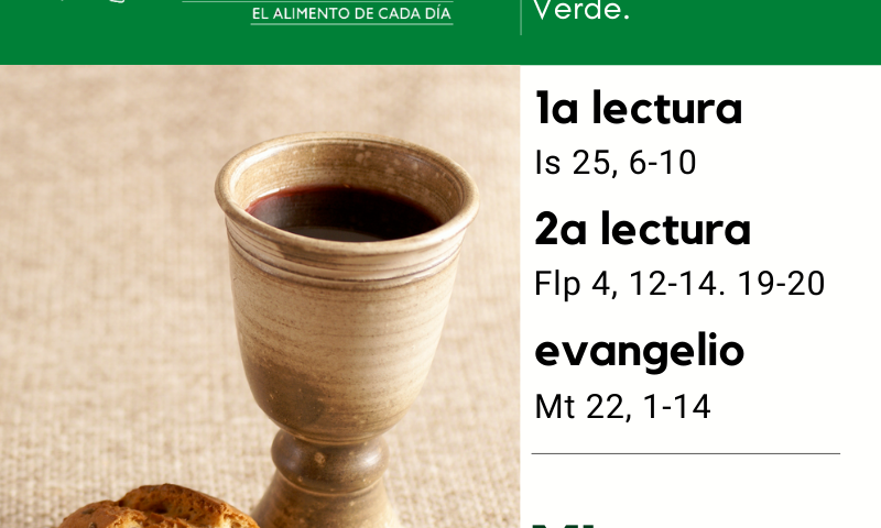 LITURGIA COTIDIANA DOMINGO 11: 28º durante el año. Verde