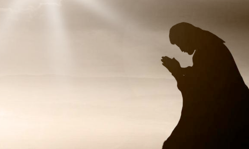 CATEQUESIS DEL PAPA: La oración es el timón que guía la ruta de Jesús