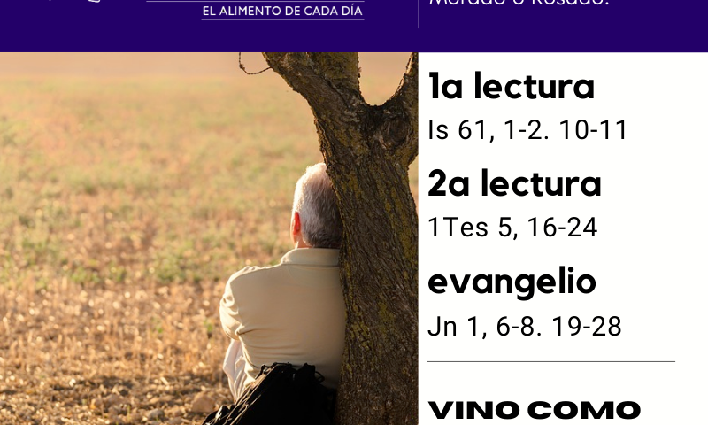 LITURGIA COTIDIANA DOMINGO 13: 3º de Adviento. Morado o Rosado.