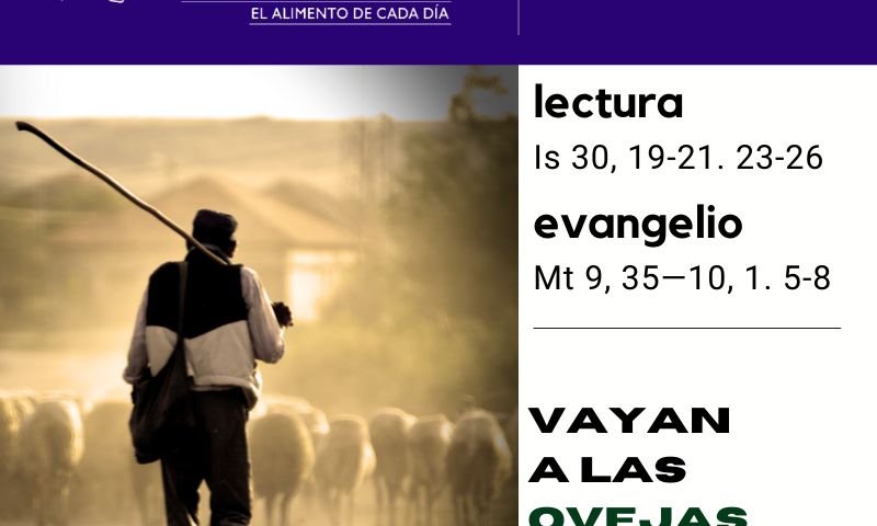 LITURGIA COTIDIANA SÁBADO 5: De la feria. Morado.