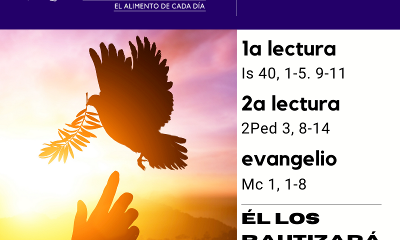 LITURGIA COTIDIANA DOMINGO 6: 2º de Adviento. Morado.