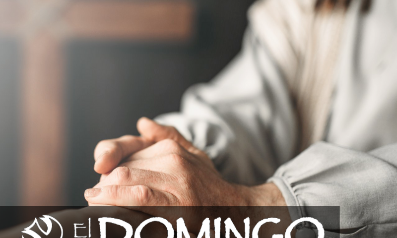 El Domingo, día del Señor: Quinto domingo durante el año