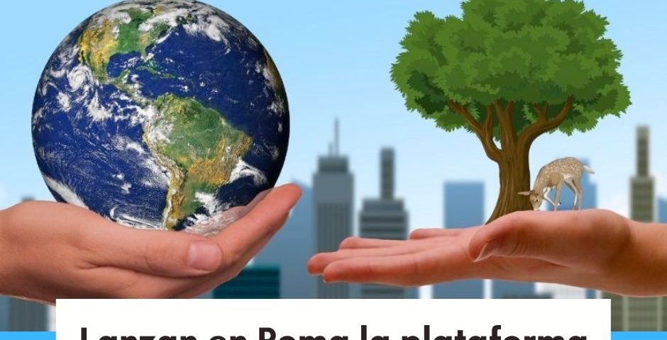 Lanzan en Roma la plataforma de acción Laudato si’