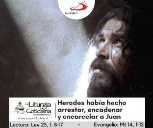 LITURGIA COTIDIANA 31 DE JULIO: San Ignacio de Loyola, p. (MO). Blanco.