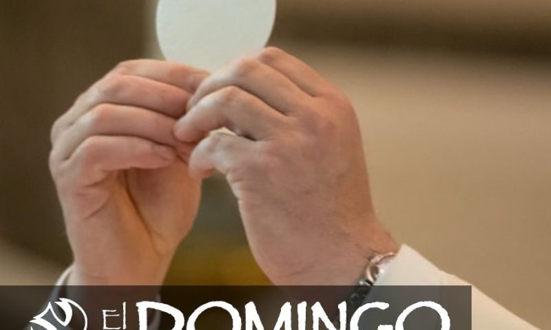 El Domingo, día del Señor: 19° durante el año (8 de agosto de 2021)