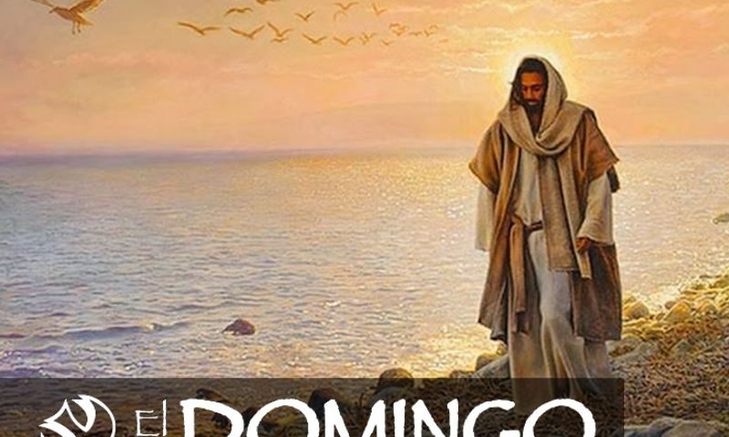 El Domingo, día del Señor: 21º durante el año (22 de agosto de 2021)