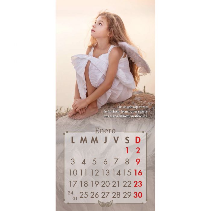 https://sanpabloerp.cl/productos/calendario-angeles-2022/