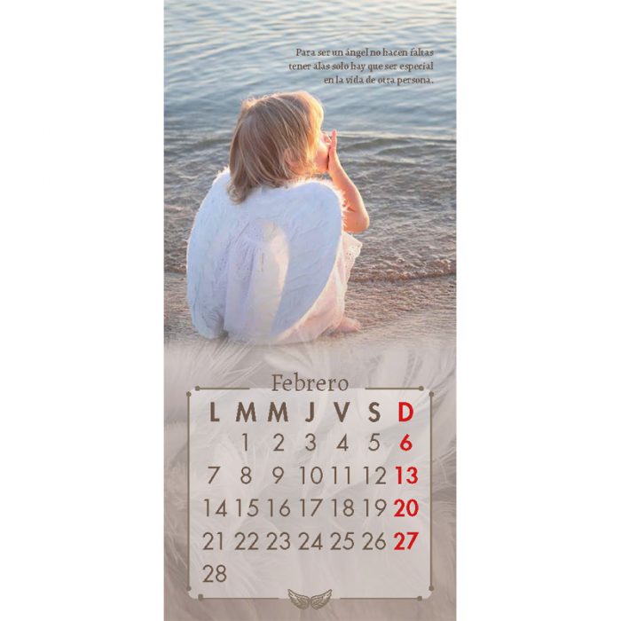 https://sanpabloerp.cl/productos/calendario-angeles-2022/