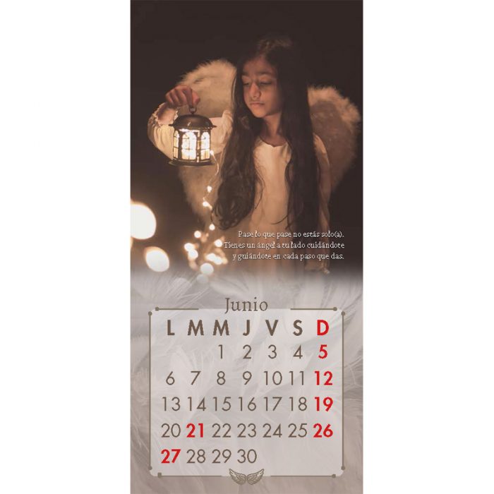 https://sanpabloerp.cl/productos/calendario-angeles-2022/