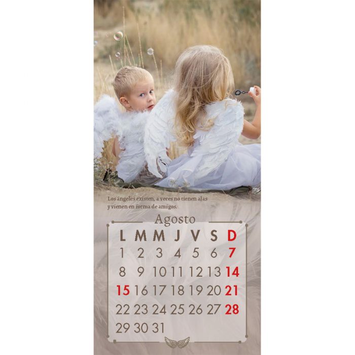 https://sanpabloerp.cl/productos/calendario-angeles-2022/