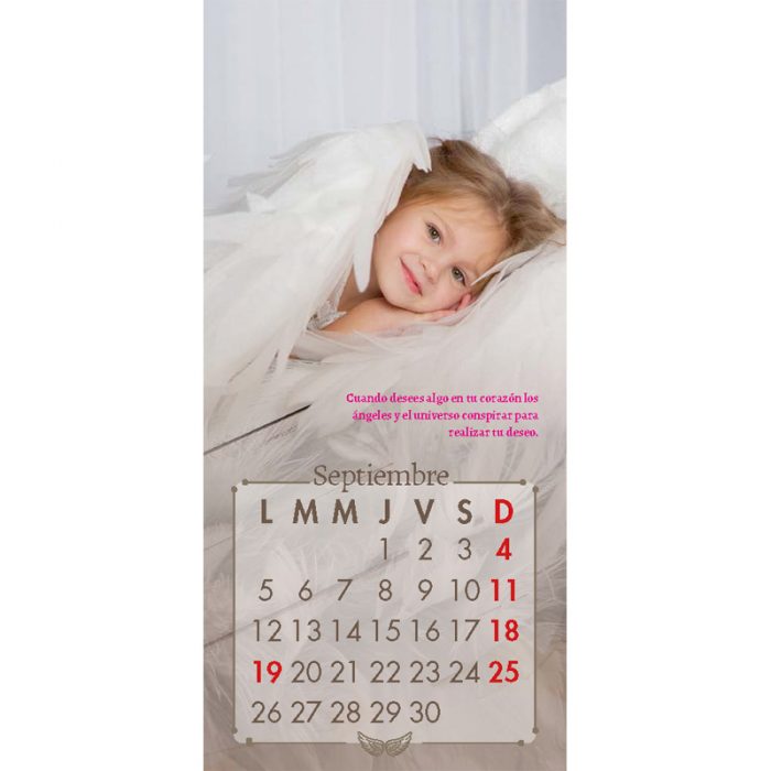 https://sanpabloerp.cl/productos/calendario-angeles-2022/