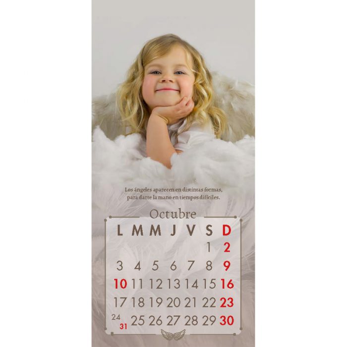 https://sanpabloerp.cl/productos/calendario-angeles-2022/
