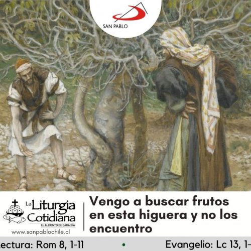 LITURGIA COTIDIANA 23 DE OCTUBRE: De la feria. Verde. San Juan Capistrano, p. (ML). Blanco. Santa María en Sábado. Blanco.