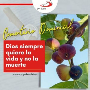 COMENTARIO DOMINICAL: Dios siempre quiere la vida y no la muerte