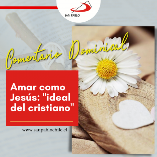 COMENTARIO DOMINICAL: Amar como Jesús, "ideal del cristiano"