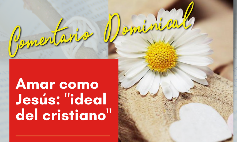 COMENTARIO DOMINICAL: Amar como Jesús, "ideal del cristiano"