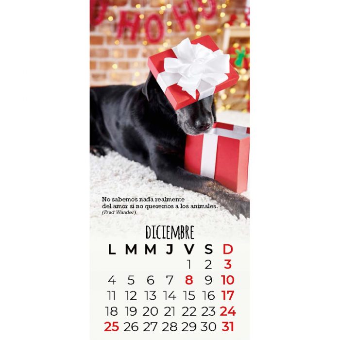 Calendario Mascotas 2023