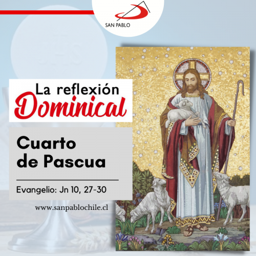 LA REFLEXIÓN DOMINICAL: Cuarto de Pascua (8 de mayo de 2022)