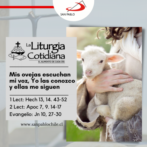 LITURGIA COTIDIANA 8 DE MAYO: 4o de Pascua. Blanco.