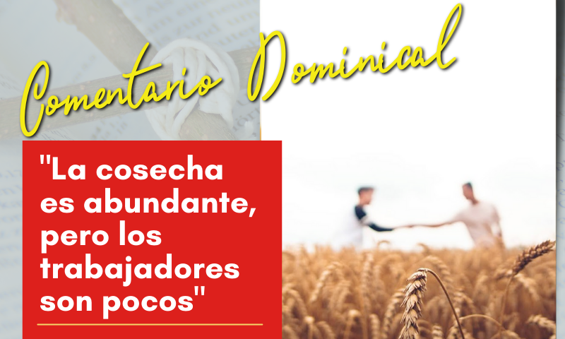 COMENTARIO DOMINICAL: "La cosecha es abundante, pero los trabajadores son pocos"