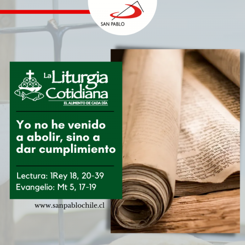 LITURGIA COTIDIANA 8 DE JUNIO: De la feria. Verde.