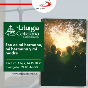 LITURGIA COTIDIANA 17 DE JULIO: De la Feria. Verde.