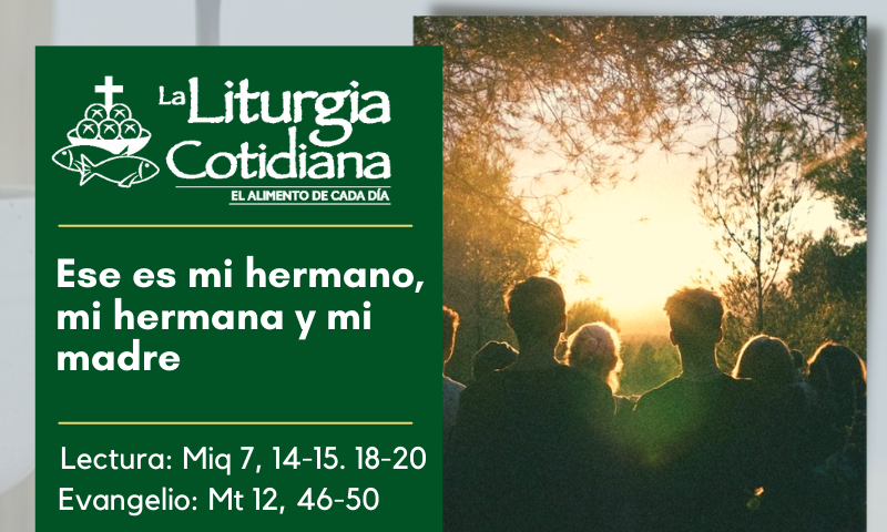 LITURGIA COTIDIANA 17 DE JULIO: De la Feria. Verde.