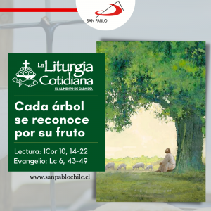 LITURGIA COTIDIANA 10 DE SEPTIEMBRE: De la feria. Verde. Santa María en Sábado. Blanco.