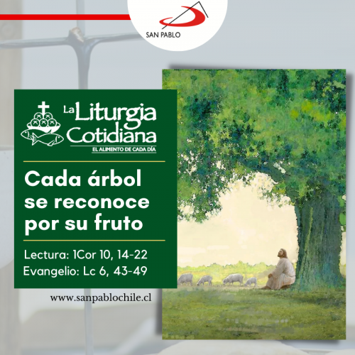 LITURGIA COTIDIANA 10 DE SEPTIEMBRE: De la feria. Verde. Santa María en Sábado. Blanco.